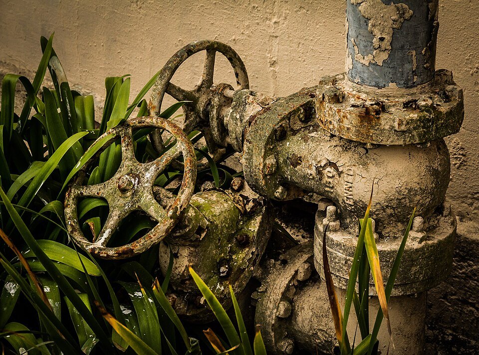 Rusted valves and pipework half hidden by plants in an Alcatraz garden