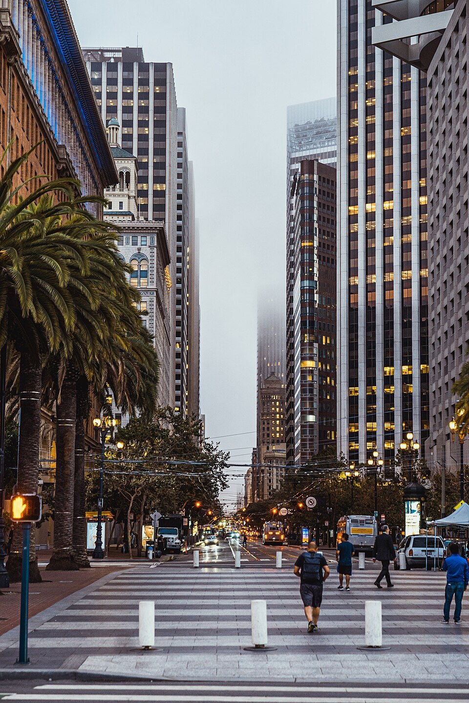 A downtown street in fog, the tops of the towers lost in cloud