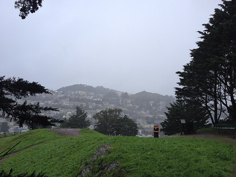 Kite Hill in the fog, its cypress trees dark against the gray