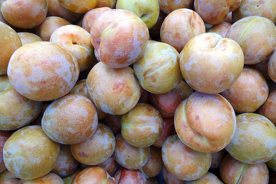 Pluots piled high on a stall at the Ferry Building farmers' market