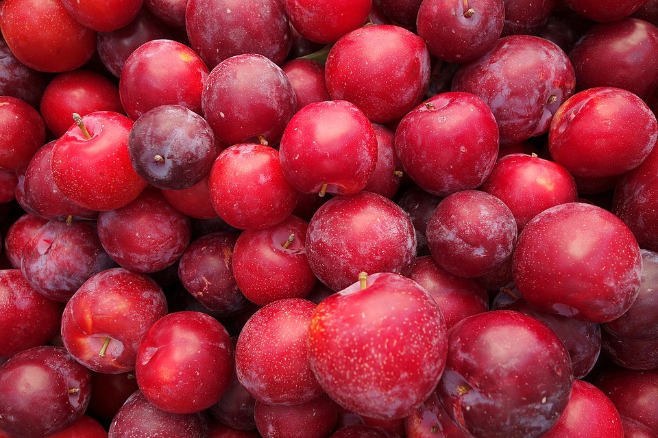 Red plums at the Ferry Building farmers' market