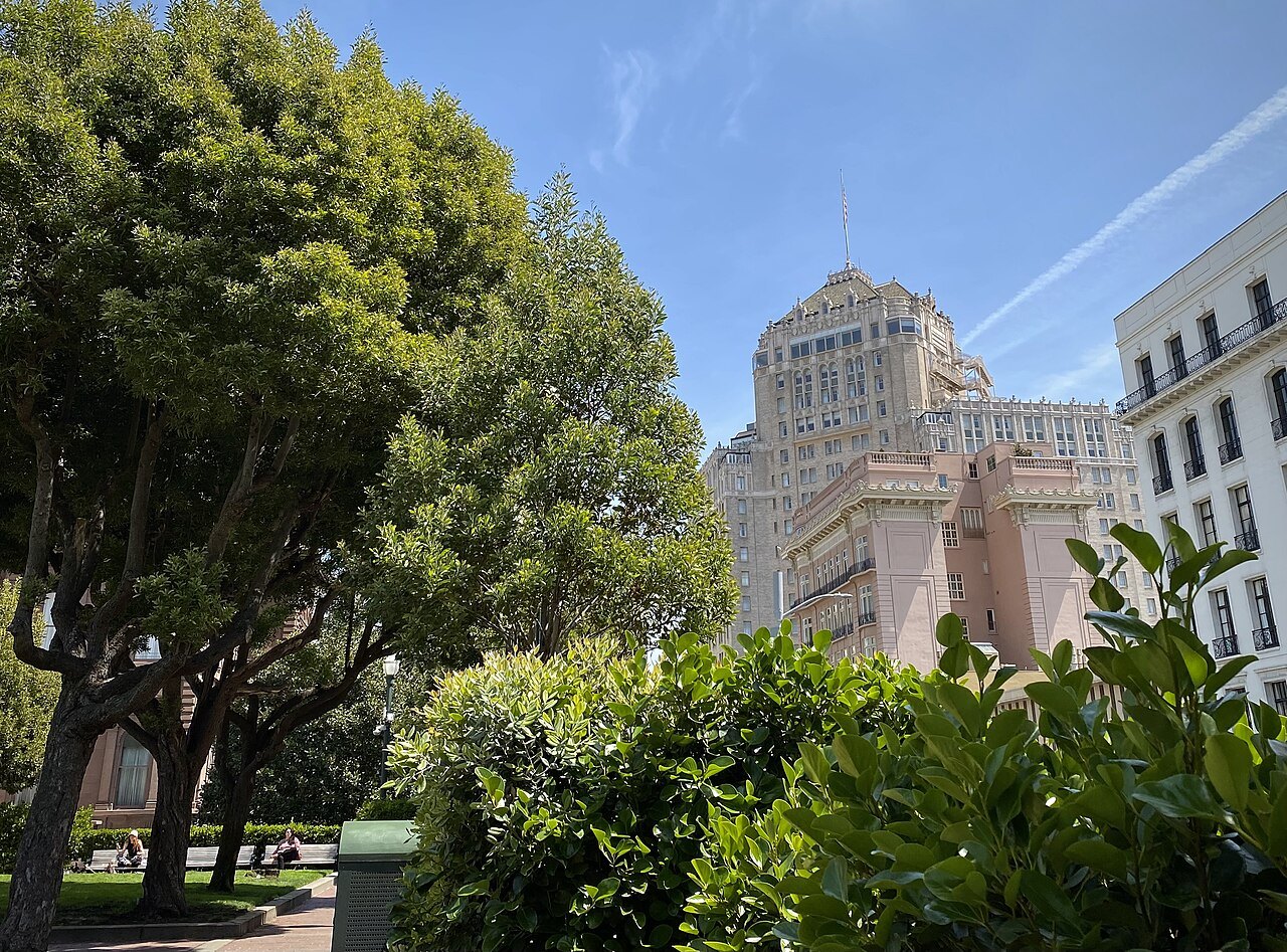 Trees and a grand old apartment building on the crest of Nob Hill