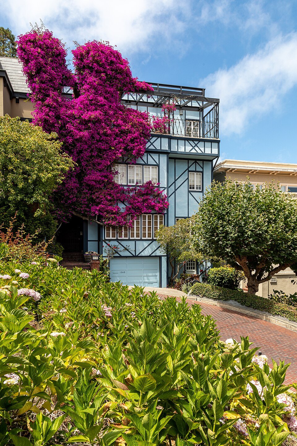 Bougainvillea spilling over a house on Lombard Street