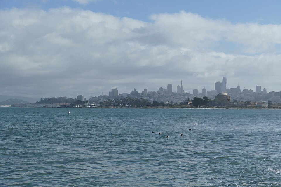 The Financial District's towers across the water from Crissy Field