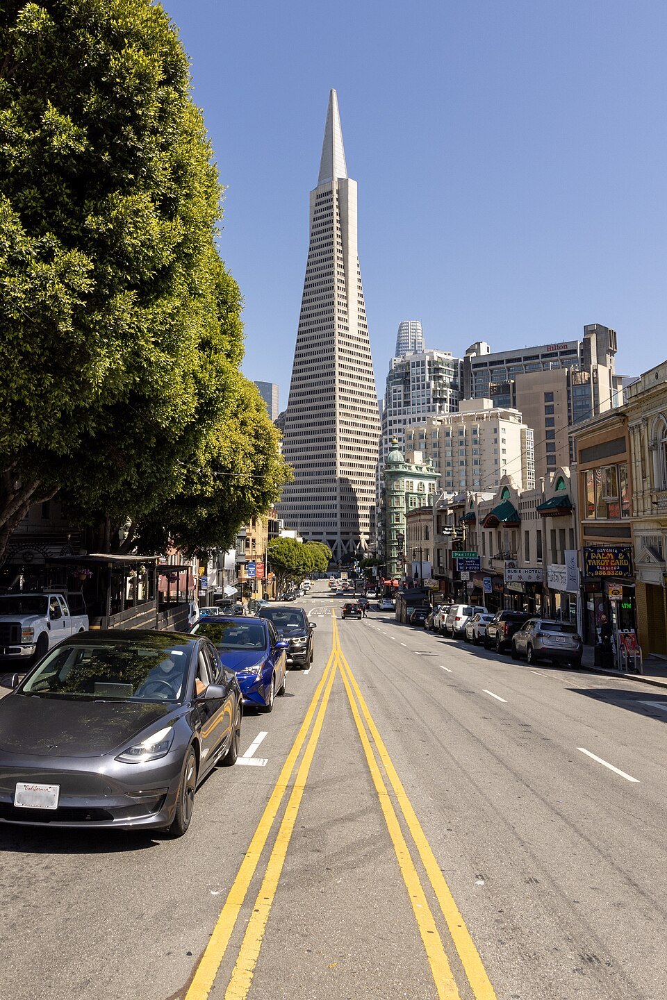 The Transamerica Pyramid at the end of Columbus Avenue