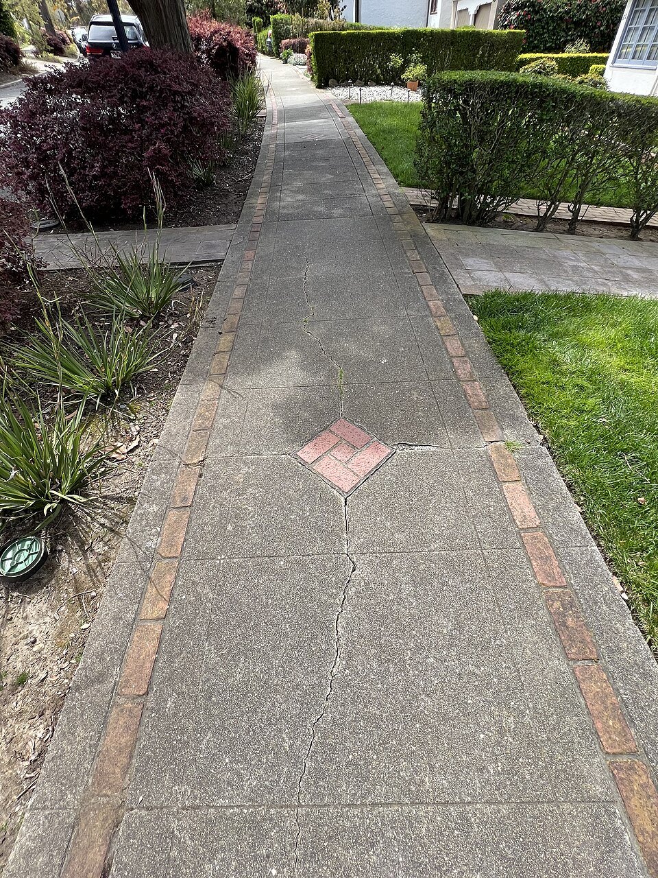 A quiet sidewalk under trees in St. Francis Wood
