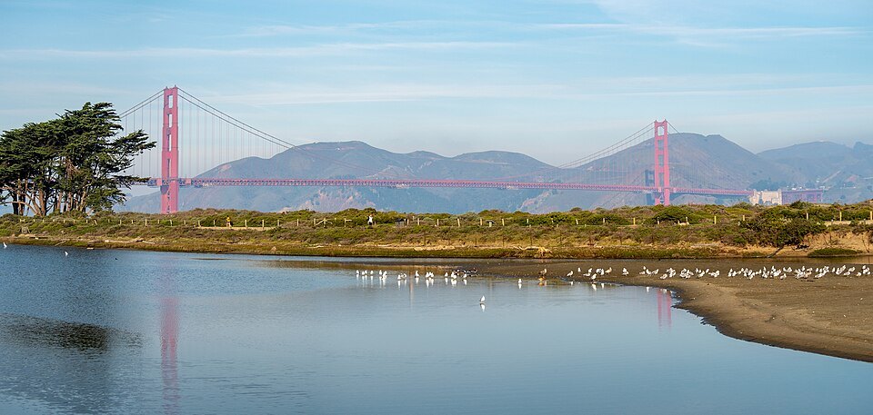 The bridge beyond the tidal marsh at Crissy Field