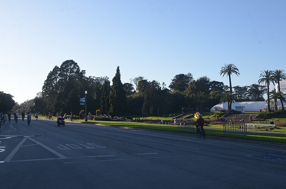 A park road through Golden Gate Park, the Conservatory glimpsed through the trees