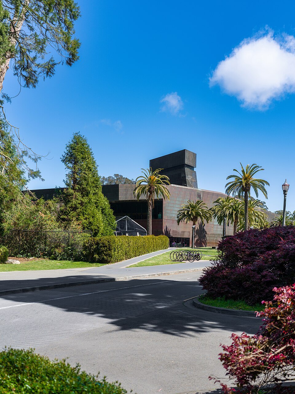 The de Young museum's tower above the gardens of the Music Concourse