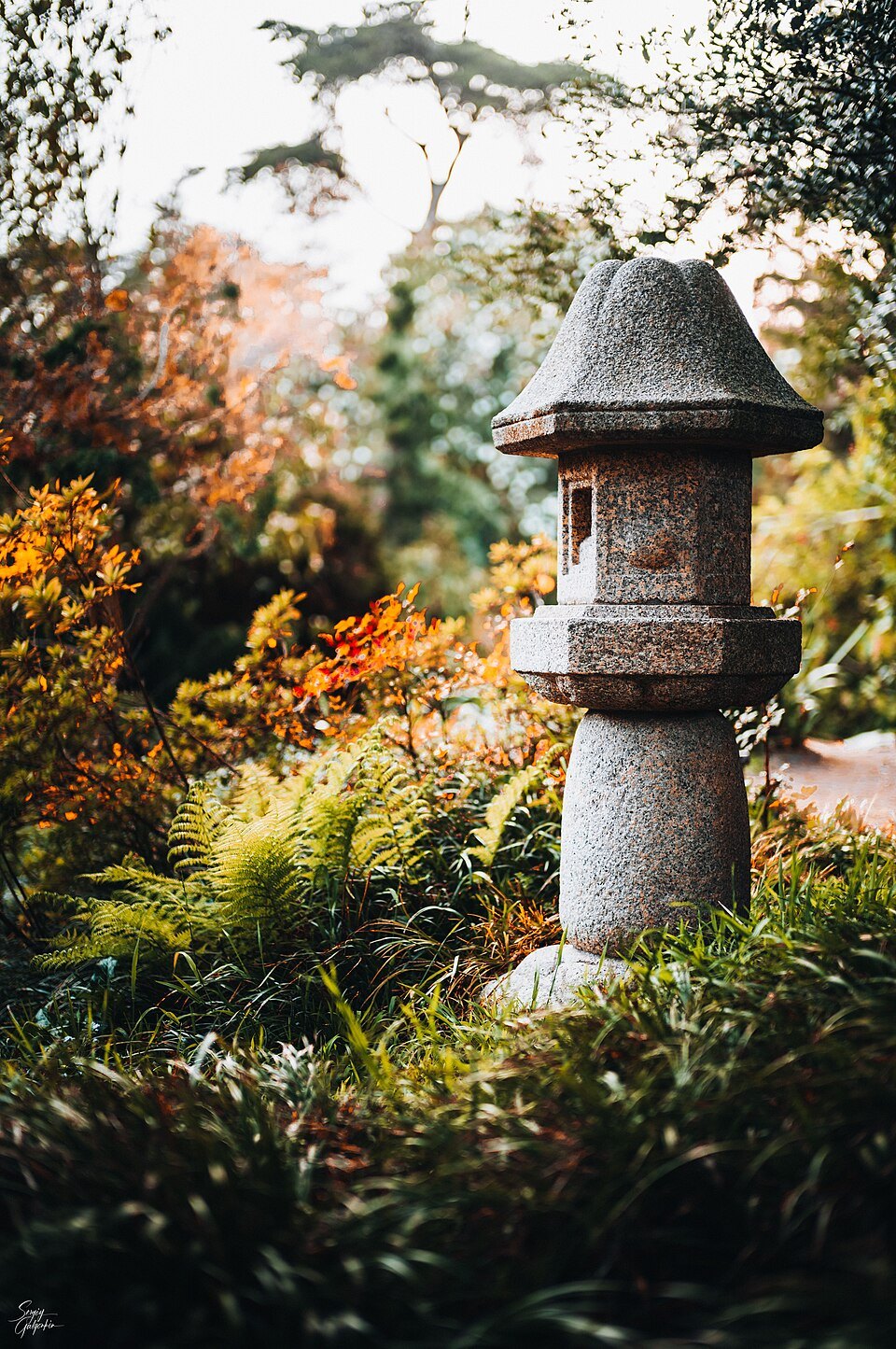 A stone lantern among ferns in the Botanical Garden in Golden Gate Park