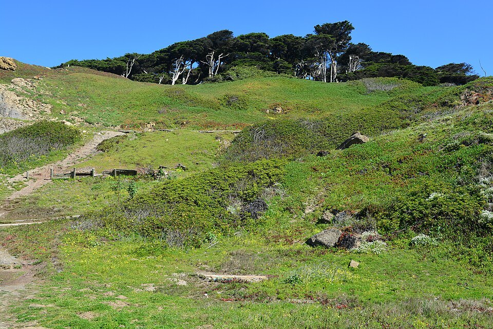 Trails climbing the green hillside above the Sutro Baths to the cypress trees
