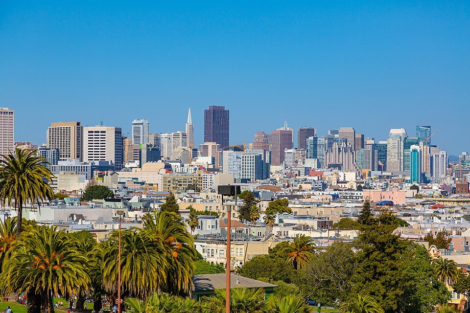 Downtown's towers above the palms of Mission Dolores Park