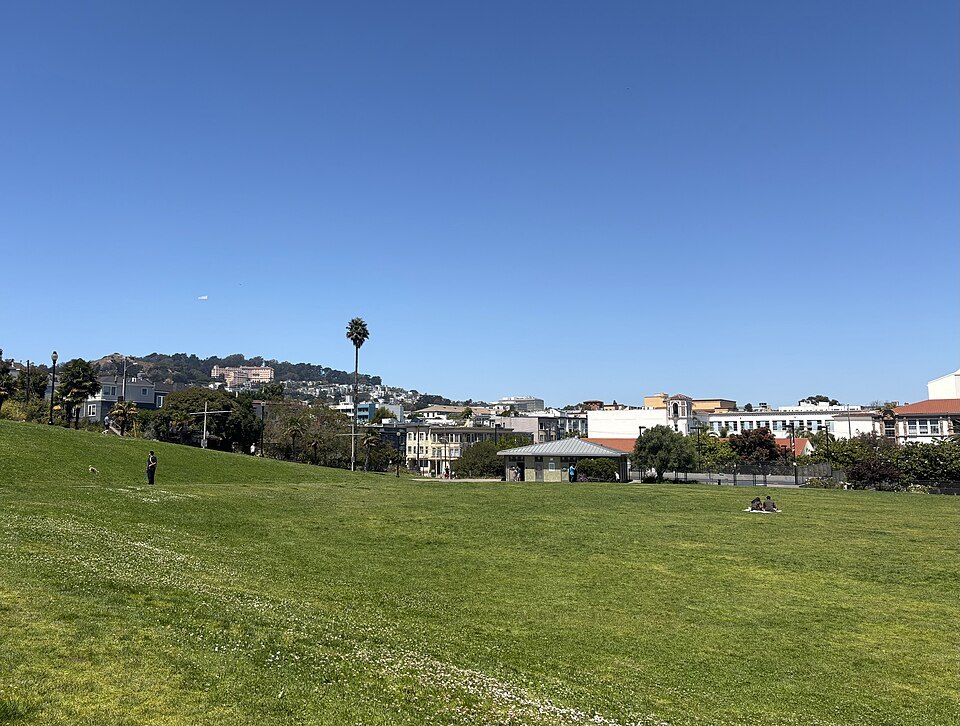 The lawns of Mission Dolores Park under a clear sky