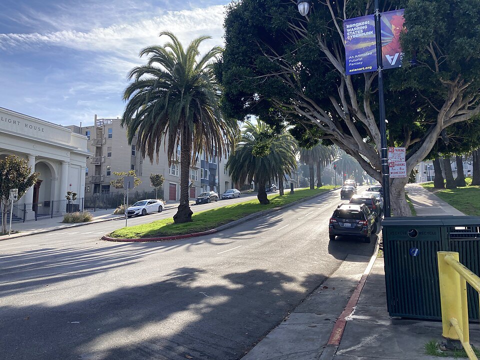 Dolores Street beside the park, palms along its median