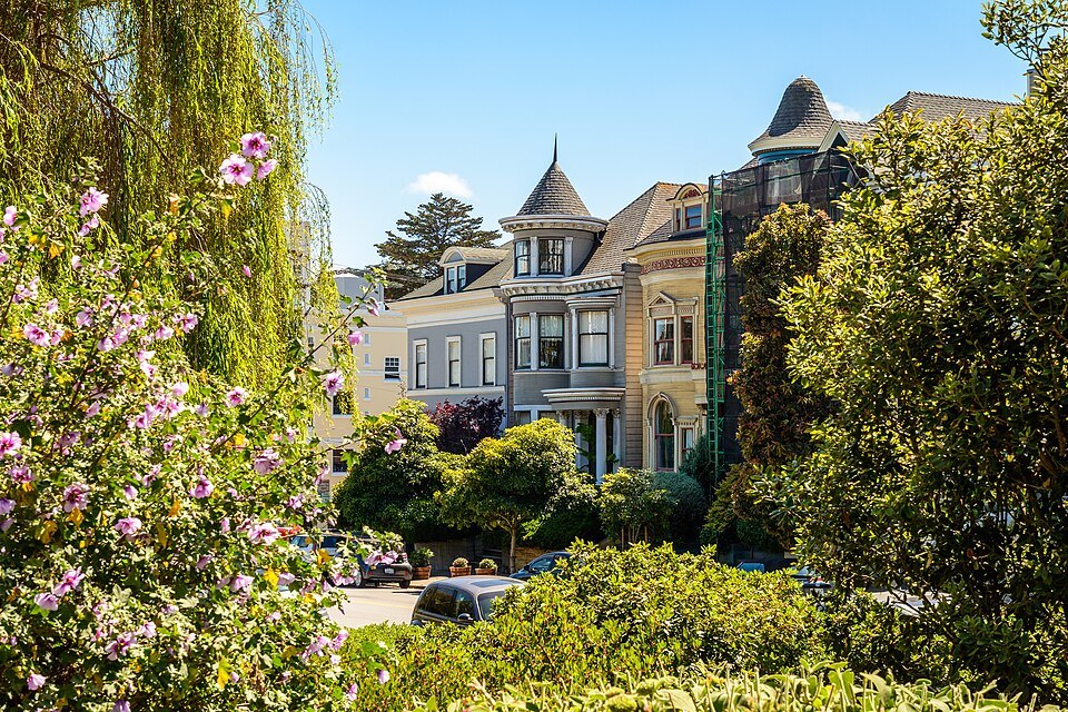 Ornate Victorians behind flowering shrubs on the edge of Alamo Square