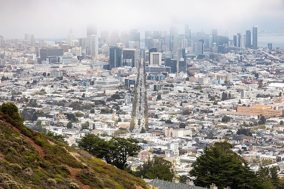 Fog lying over downtown, seen from the slopes of Twin Peaks